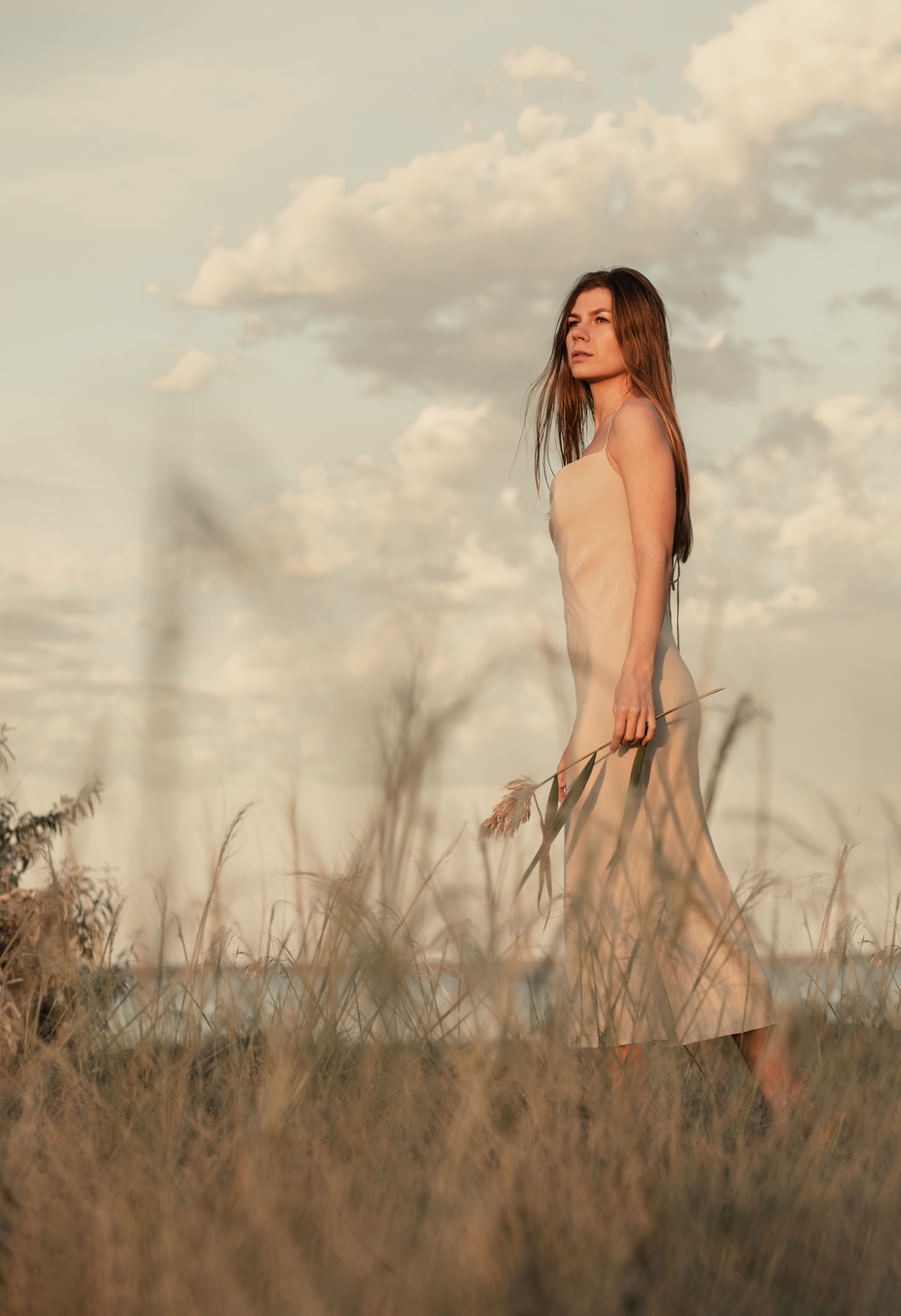 Woman in Dress Walking in the Field